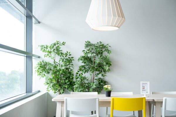 Revitalize Your Life: Discover the Essential Self-Care Routines You Need Today