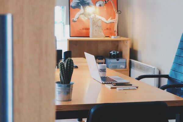 Igniting Innovation: The Dynamic Pulse of Startup Culture