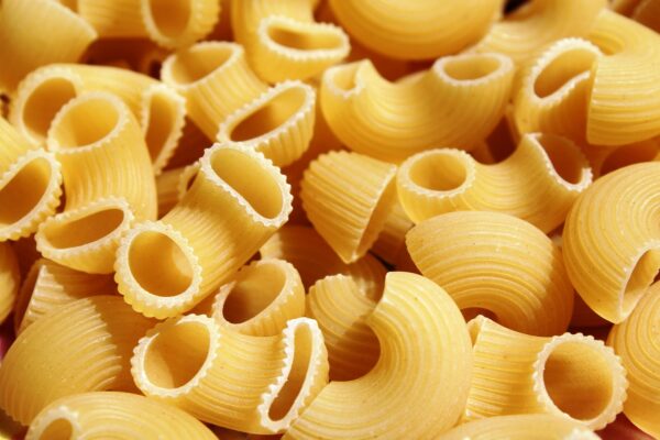 Fuel Your Mind: 10 Brain-Boosting Foods You Need to Try Today