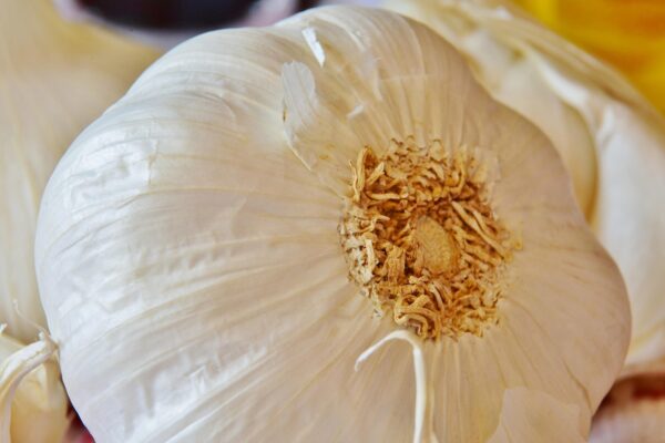 Unleash Your Health: The Transformative Power of a Vegan Diet