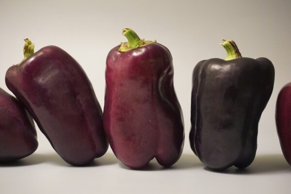 Unlocking the Power of Carbohydrates: Fuel Your Body the Right Way