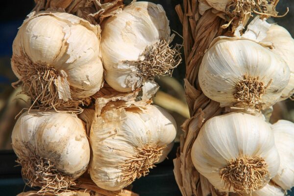 Unlocking Nature’s Bounty: The Benefits of Embracing Organic Foods