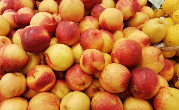 Unlocking Wellness: The Ultimate Guide to Dietary Supplements for a Healthier You