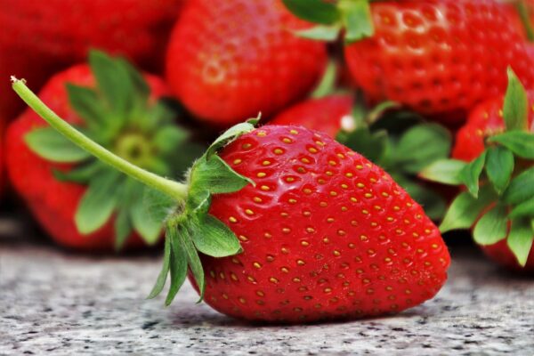 Fueling Champions: Unleashing Your Potential with Sports Nutrition Secrets